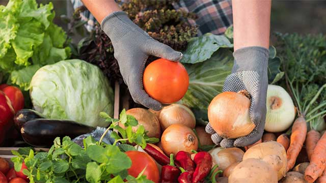 Woman purchases fresh produce