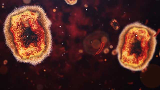 Monkeypox virus